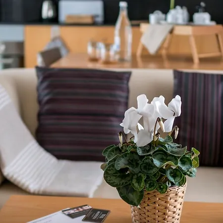 Apartment Welcome Madeira *