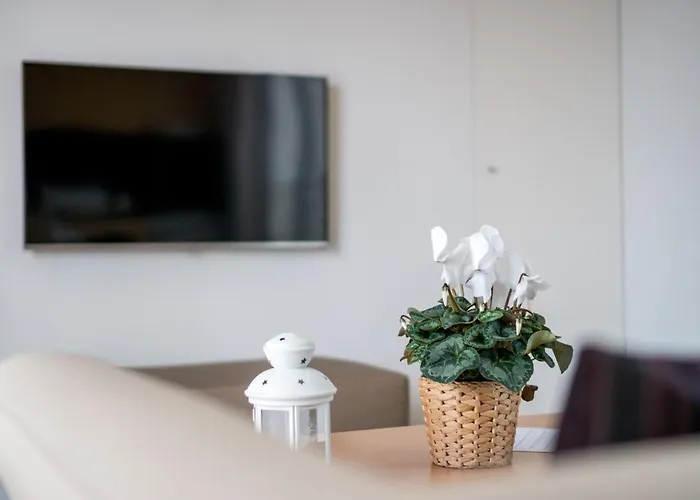 Apartamento Welcome Madeira By Wanderlust Madeira *