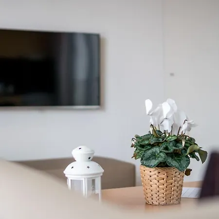 Apartment Welcome Madeira By Wanderlust Madeira *